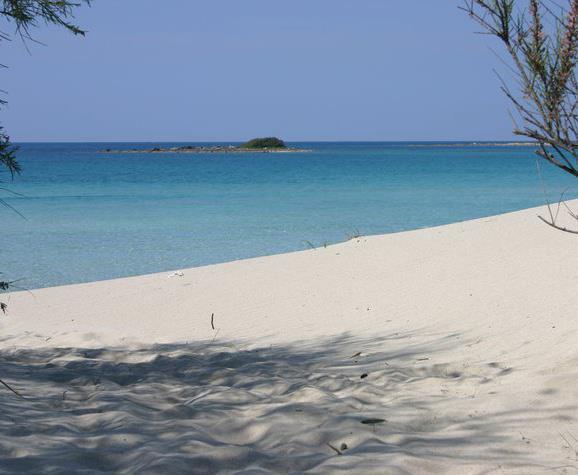 Villa Arneide Bed And Breakfast Torre Lapillo Buitenkant foto